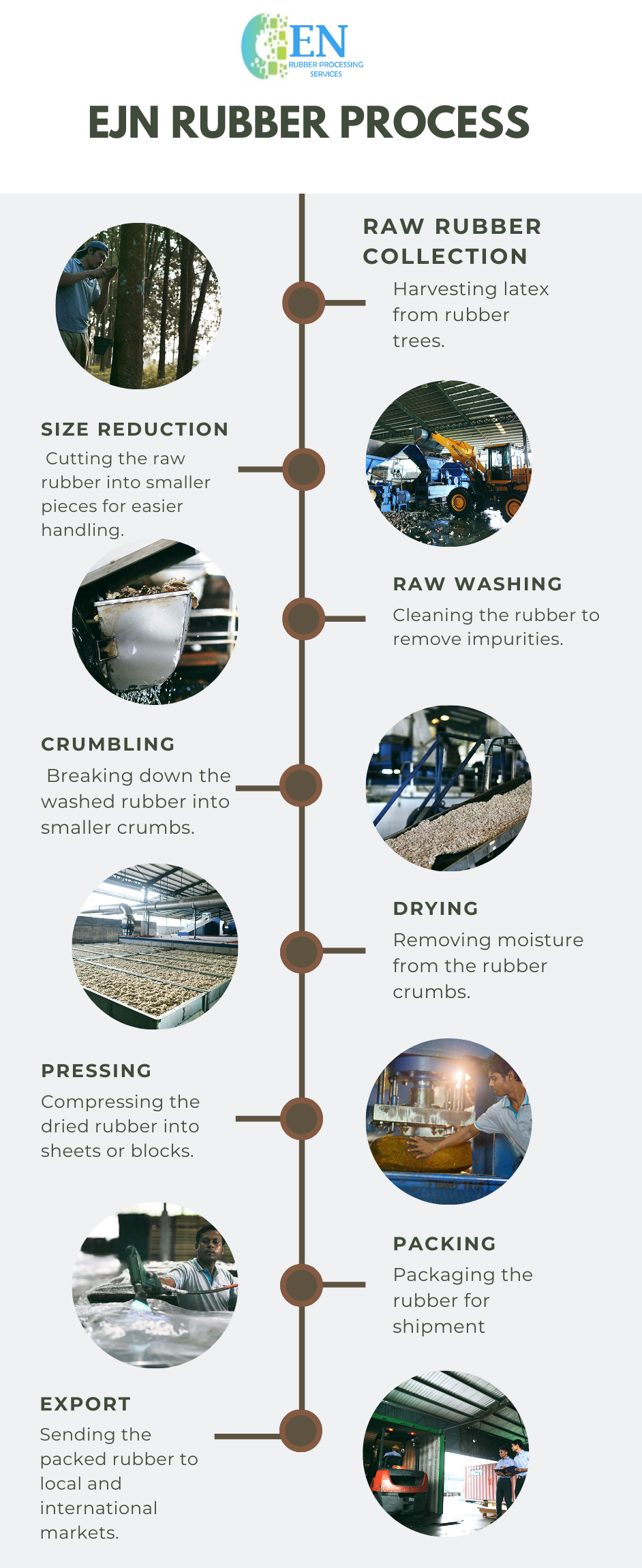 Rubber Processing Infographic